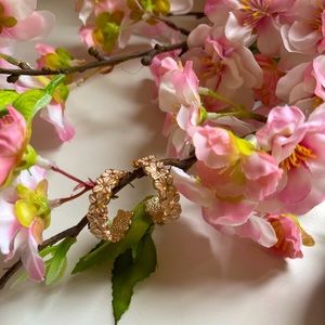 Coldwater Creek Earrings